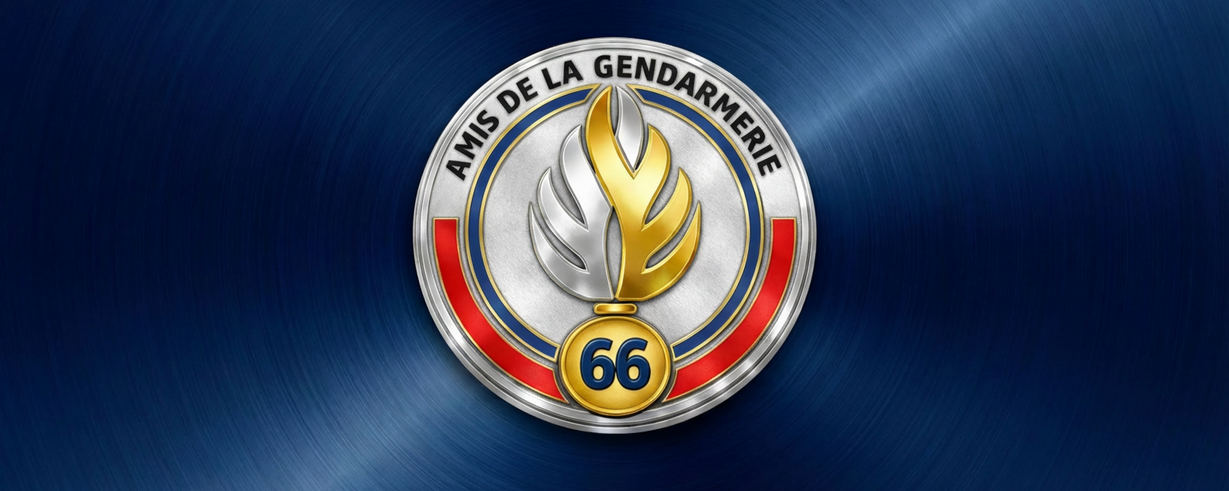 Bannière or comite66 -1500x550-.png